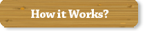 how it works?